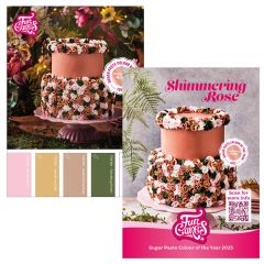 FunCakes Colour of the Year 2025 Colour Chart A6 pk/100