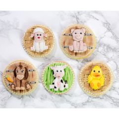 Karen Davies Silicone Mould  - Farm Faces Set/5